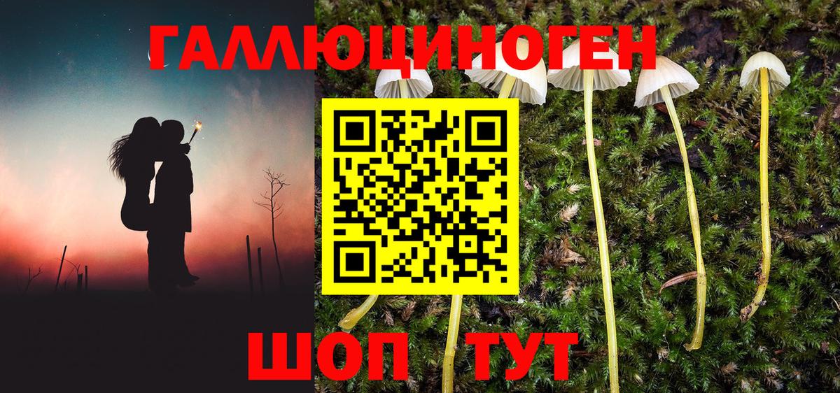 Ульяновск  Галлюциногенные грибы ЛСД  Вход с VPN  купить наркотики сайты  Псилоцибиновые грибы ЛСД 